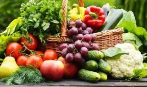 Harga Sayuran Di Kota Serang Versi Kami